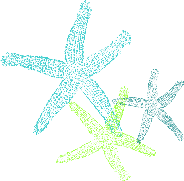 starfish clipart symmetrical