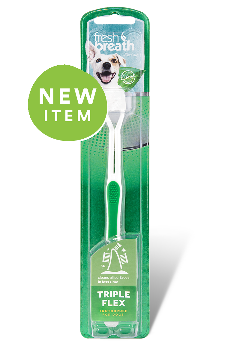 green clipart toothbrush