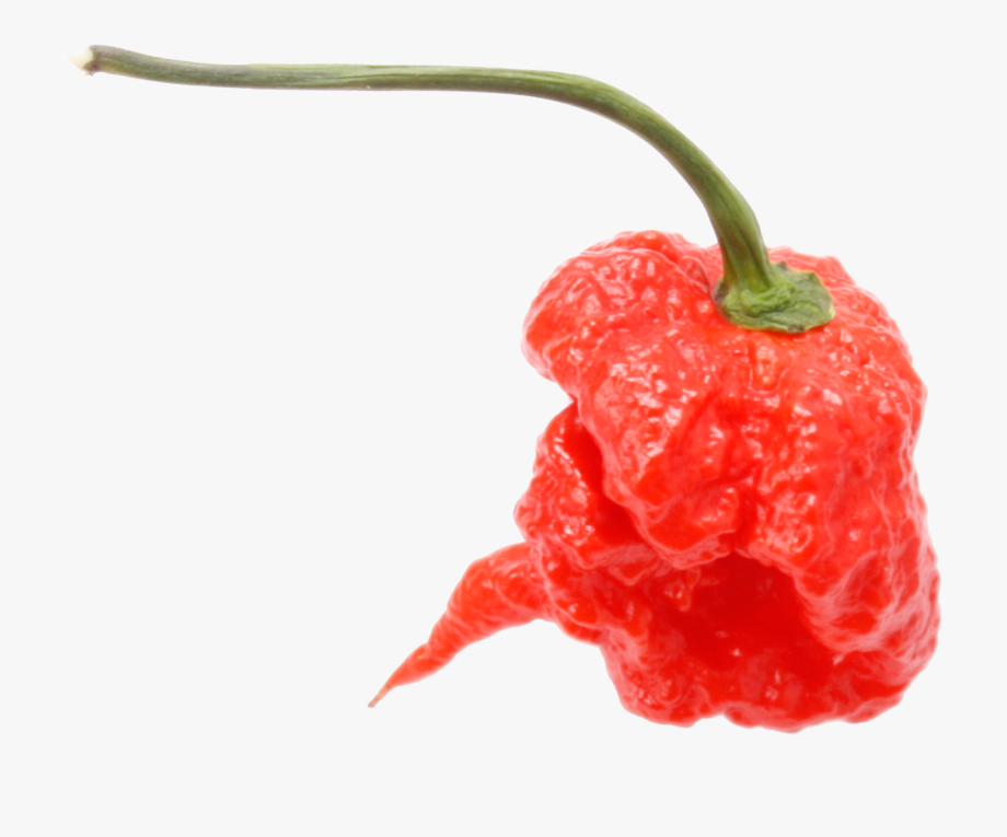 Buy the hottest chilli. Grim reaper clipart carolina reaper