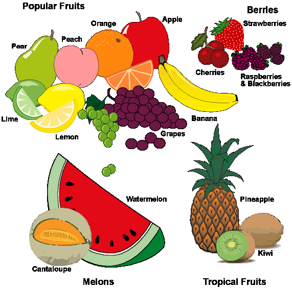 grocery clipart expensive food