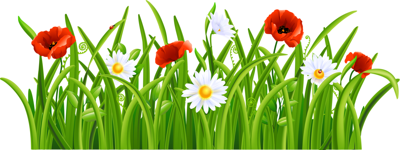 Spring clip art early. Ground clipart border