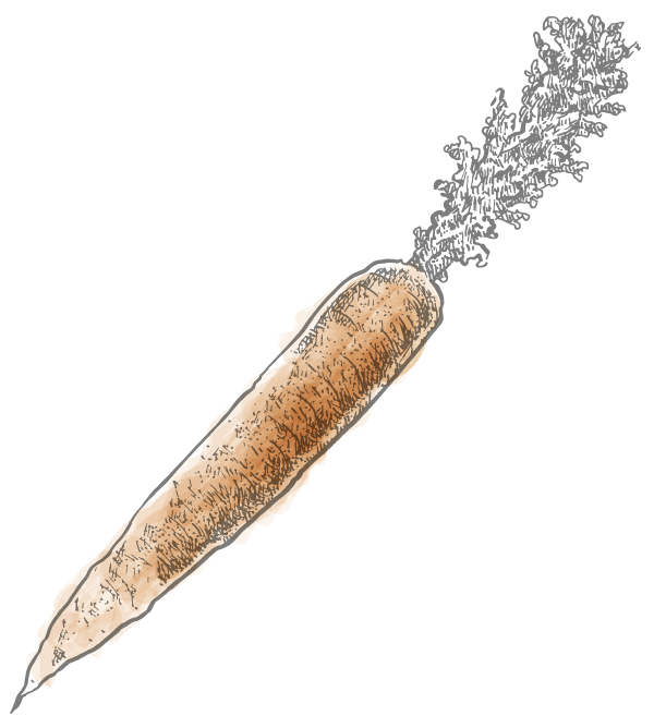 ground clipart carrot
