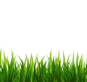 ground clipart clear background grass