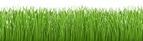 ground clipart grass floor