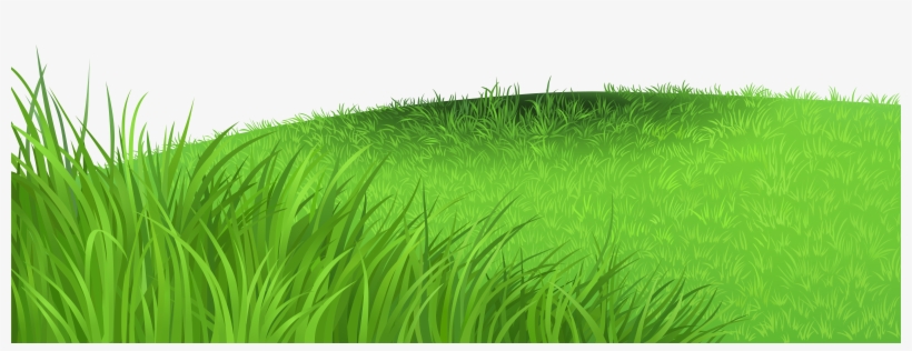 Ground clipart grass patch. Background png transparent 