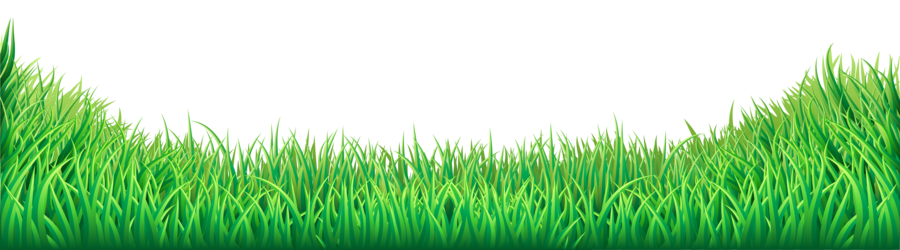 ground clipart green lawn