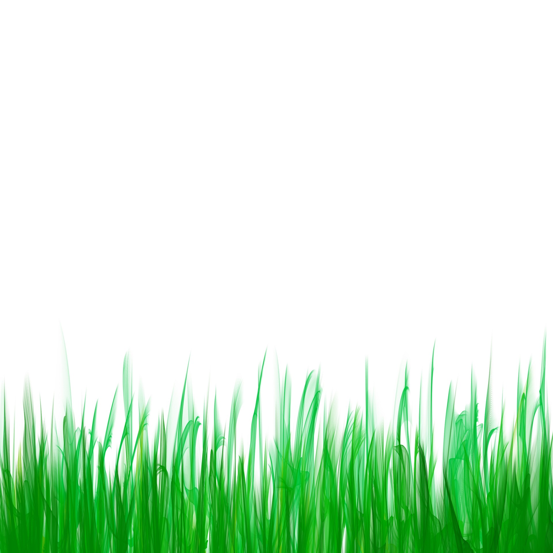 Free grass download clip. Ground clipart green lawn