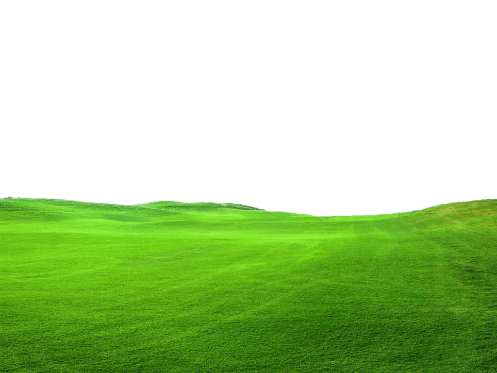 ground clipart green pasture