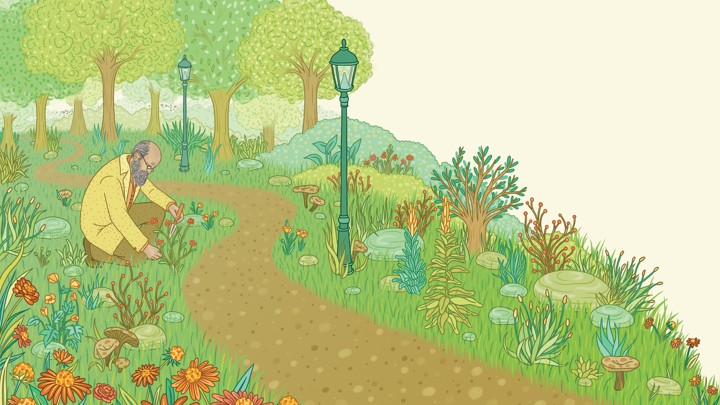 ground clipart green space
