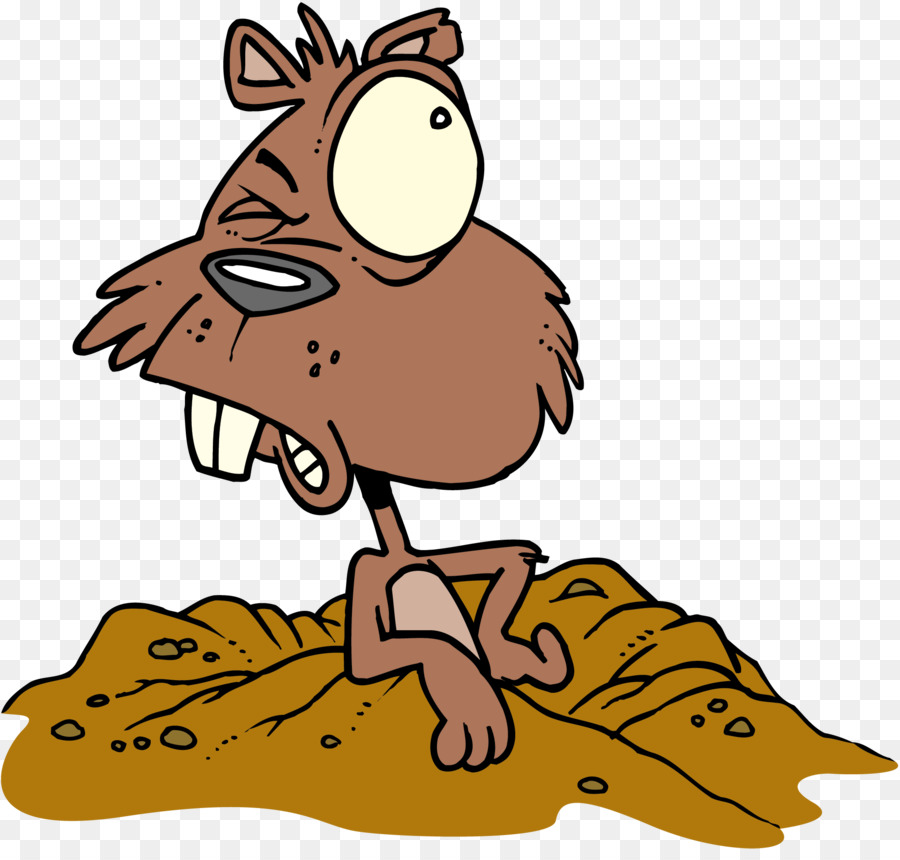 Day illustration drawing . Groundhog clipart cartoon