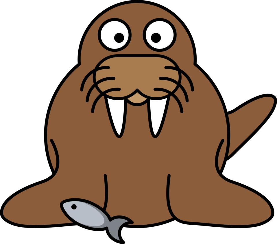 walrus clipart drawing