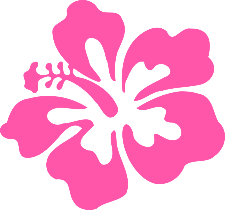 Hibiscus clipart printable. Free image on pixabay