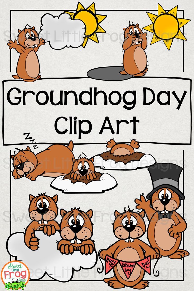 groundhog clipart little