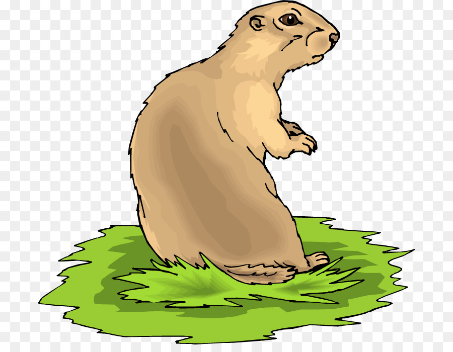 Beaver cartoon wildlife graphics. Groundhog clipart prairie animal