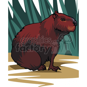 groundhog clipart realistic