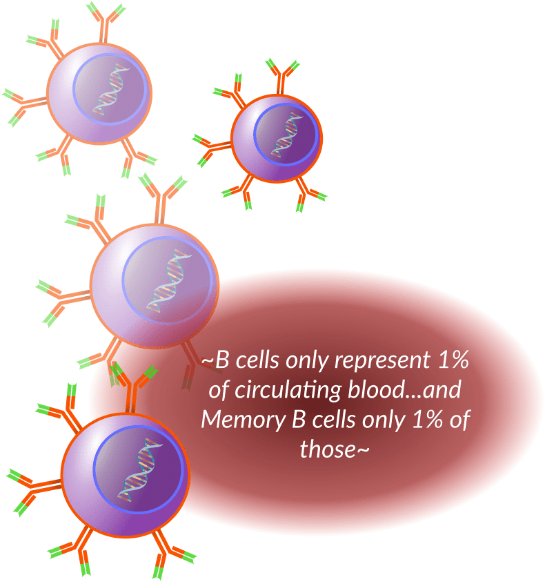 group clipart cell