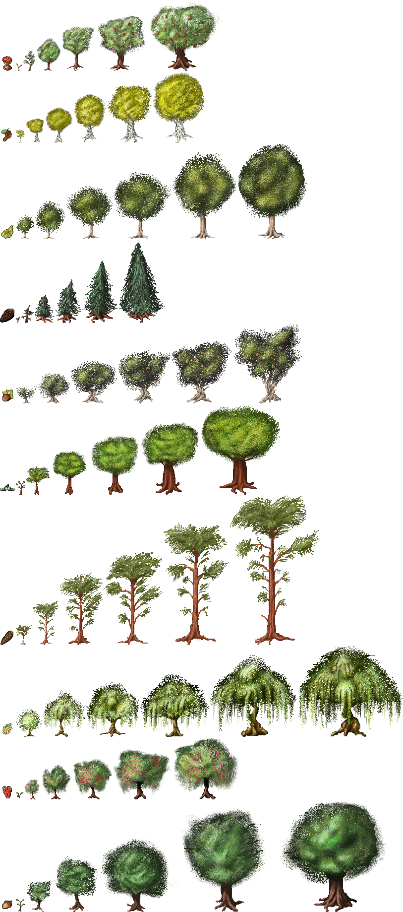 What are the stages. Growth clipart garden tree