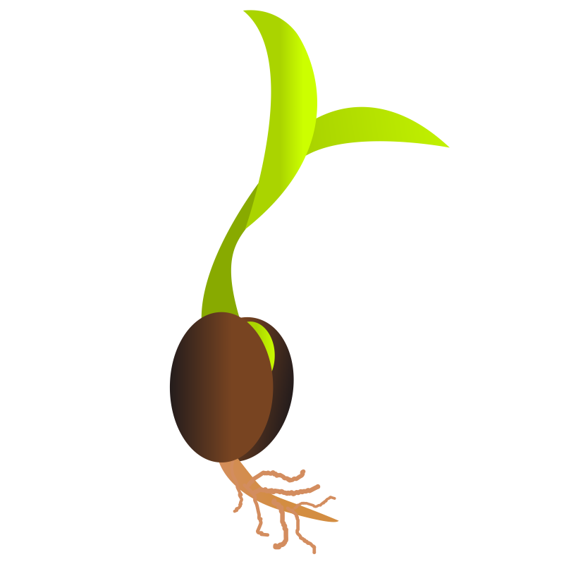 V know now seed. Growth clipart grew