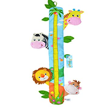 growth clipart height ruler