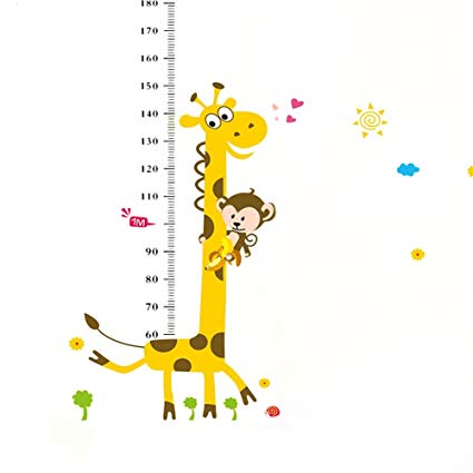 growth clipart height ruler