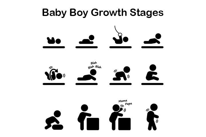 growth clipart height weight