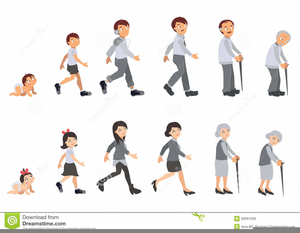 growth clipart human body