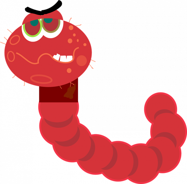 Worms they just keep. Worm clipart animal crawl