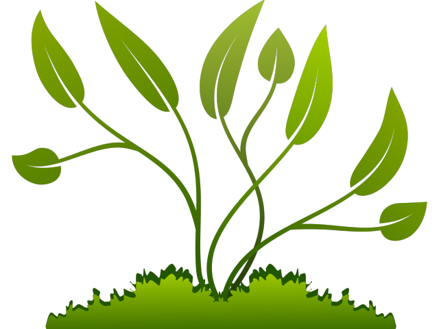 planting clipart plant growth