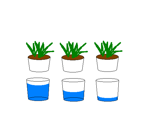 Scientific method mr lutke. Growth clipart plant experiment