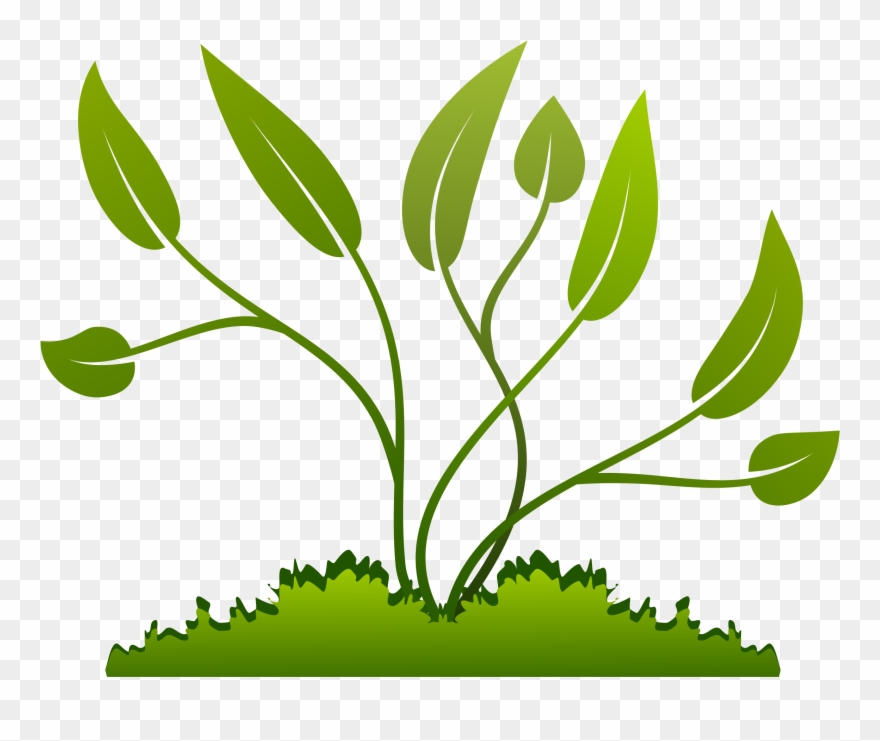 Growth clipart plant experiment. Pinclipart 