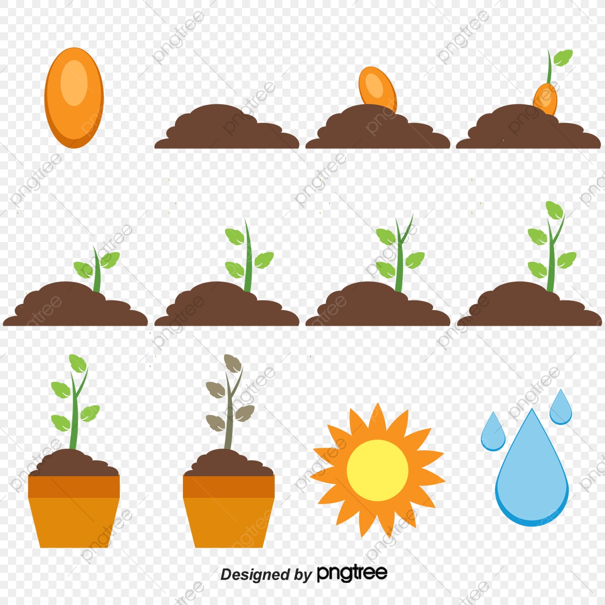 Planting clipart plant growth, Planting plant growth Transparent FREE