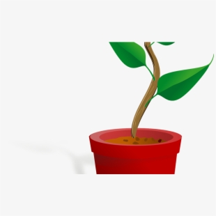 growth clipart small plant