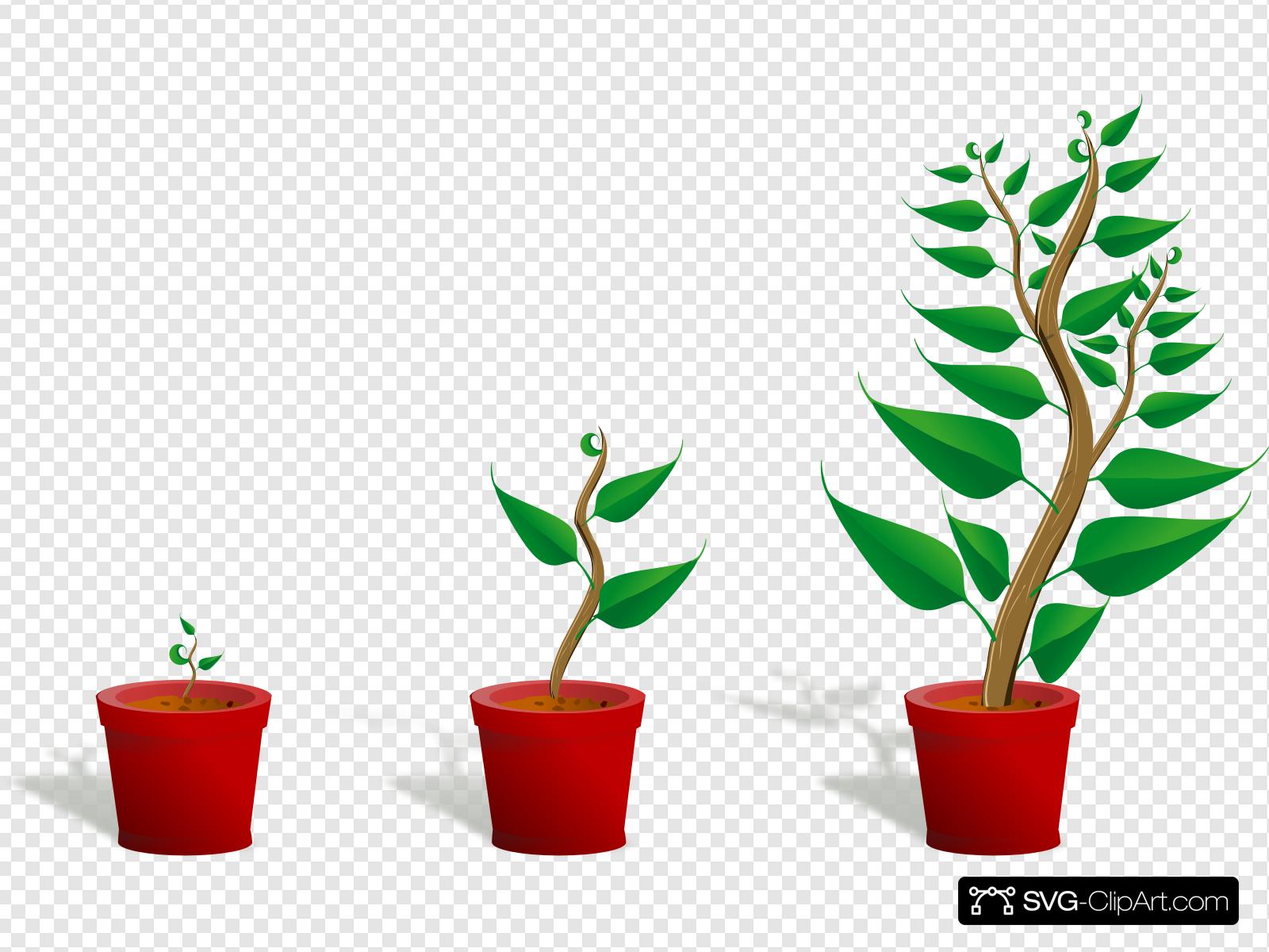 growth clipart svg