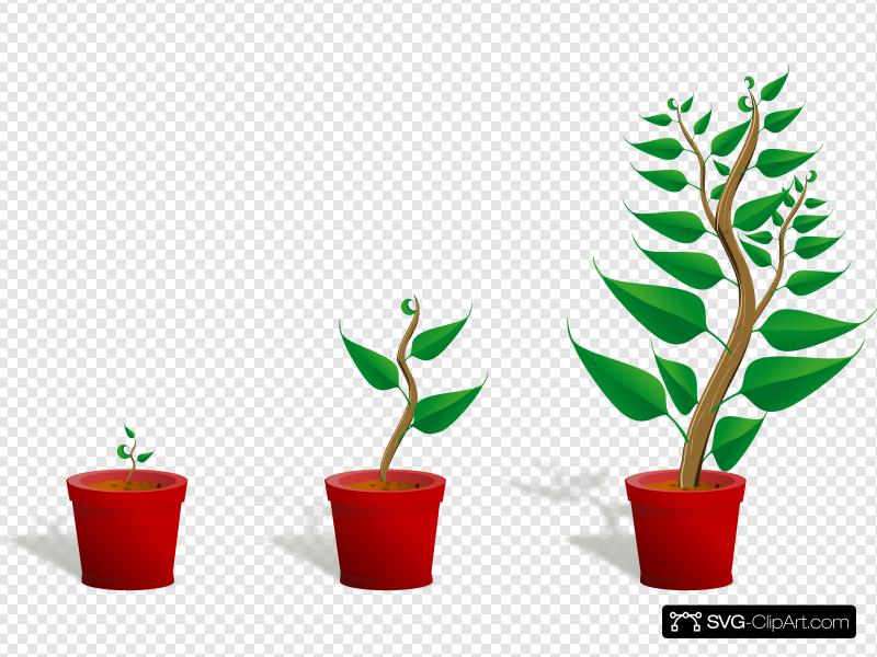 growth clipart tree growth