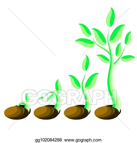 Seedling clipart plant shoot. Vector phases growth little