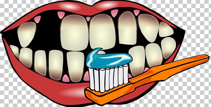 gum clipart human tooth