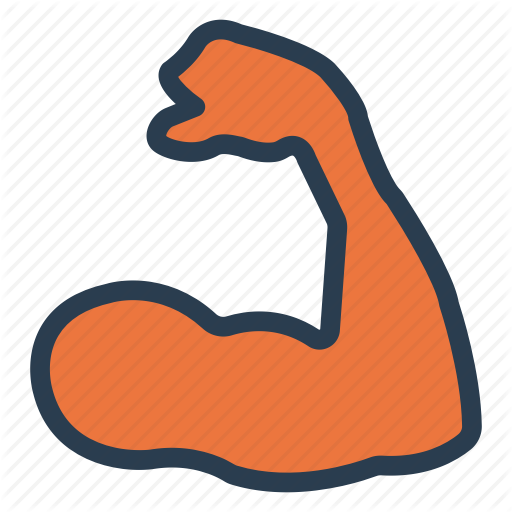 gym clipart muscle arm