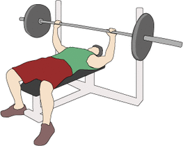 muscles clipart strenght
