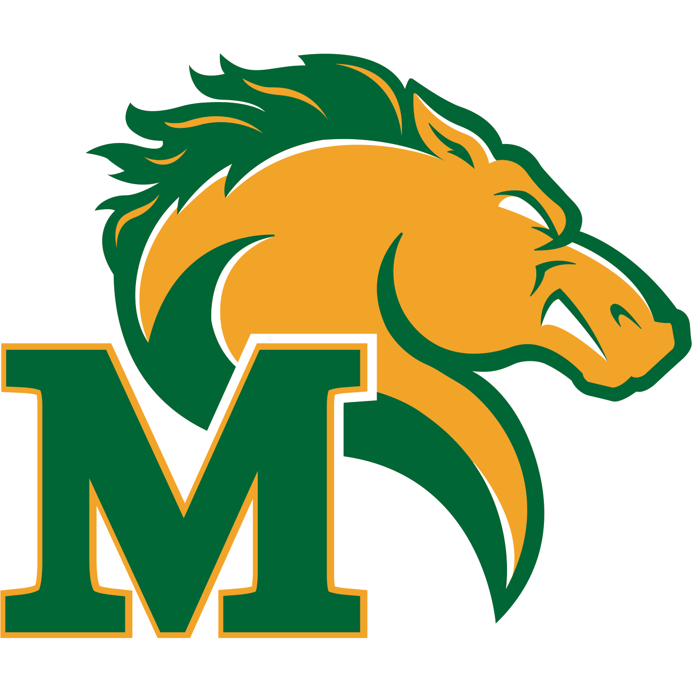 Gymnastics clipart culmination. Marywood pacers women s