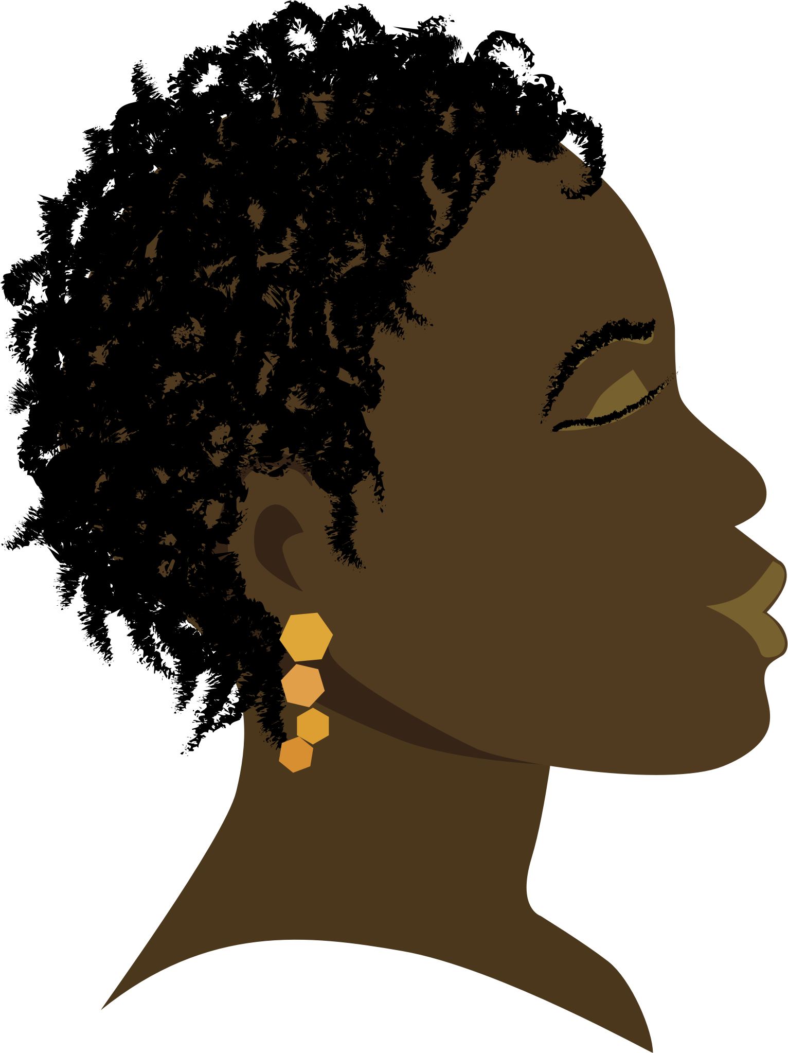 Hair clipart afro, Hair afro Transparent FREE for download ...