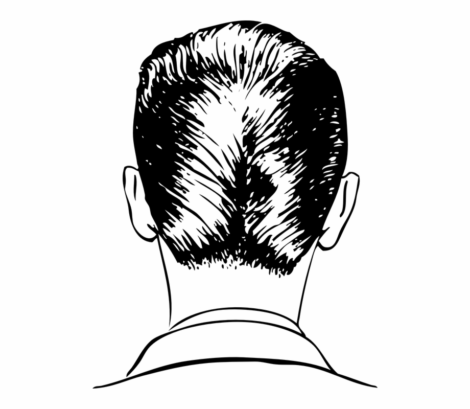Download for free png. Hair clipart back hair