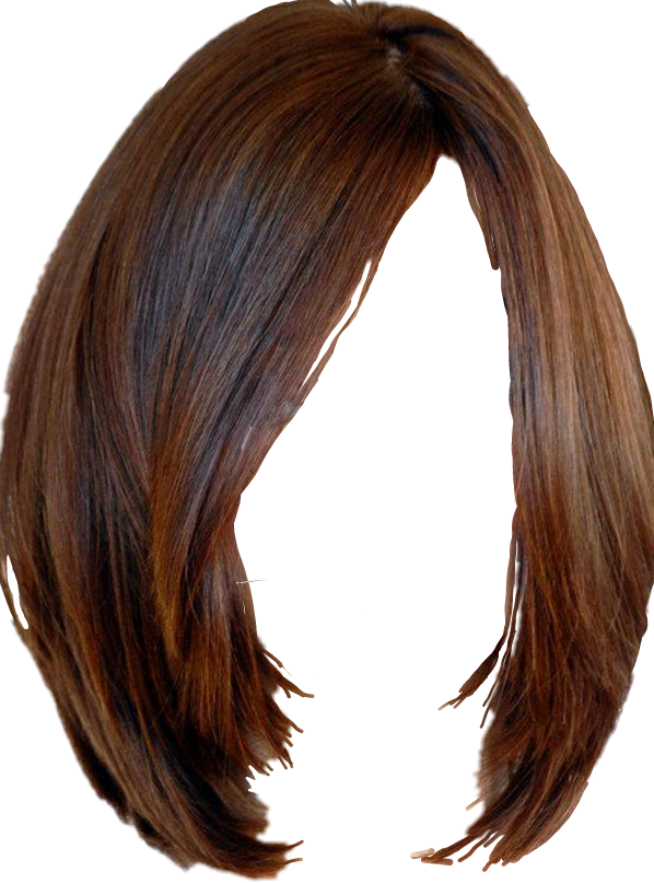 Download Hair clipart hairdo, Hair hairdo Transparent FREE for ...