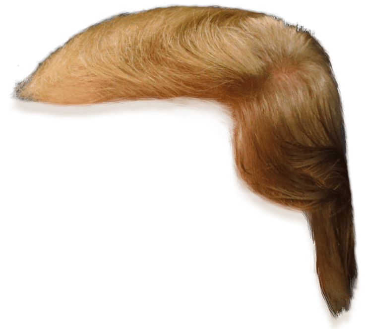 Donald trump side view. Mad clipart brown hair