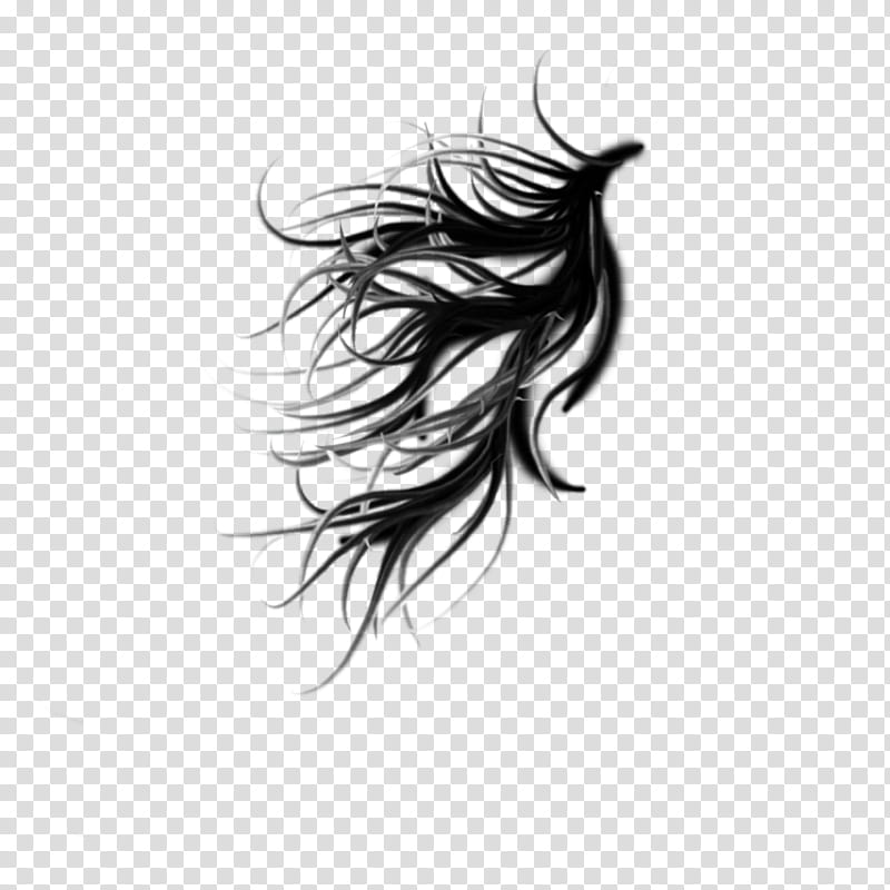 Windy clipart hair. Rainy black illustration transparent