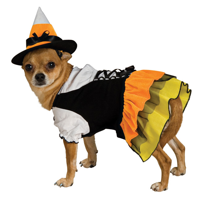 Halloween clipart pet. Download witch dog costumes