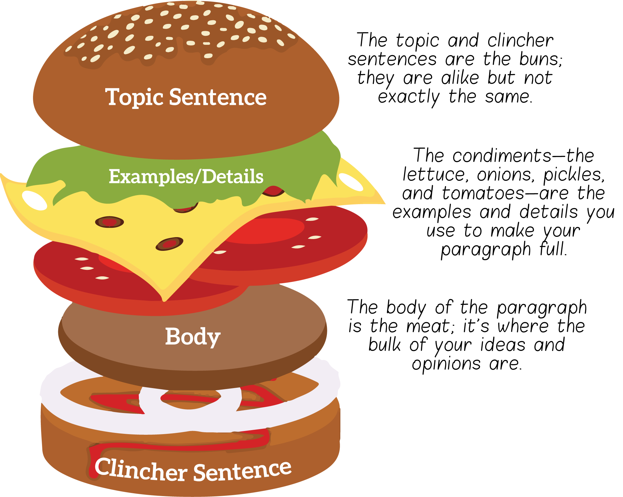 hamburger-paragraph-writing-examples-pdf-fill-online-printable