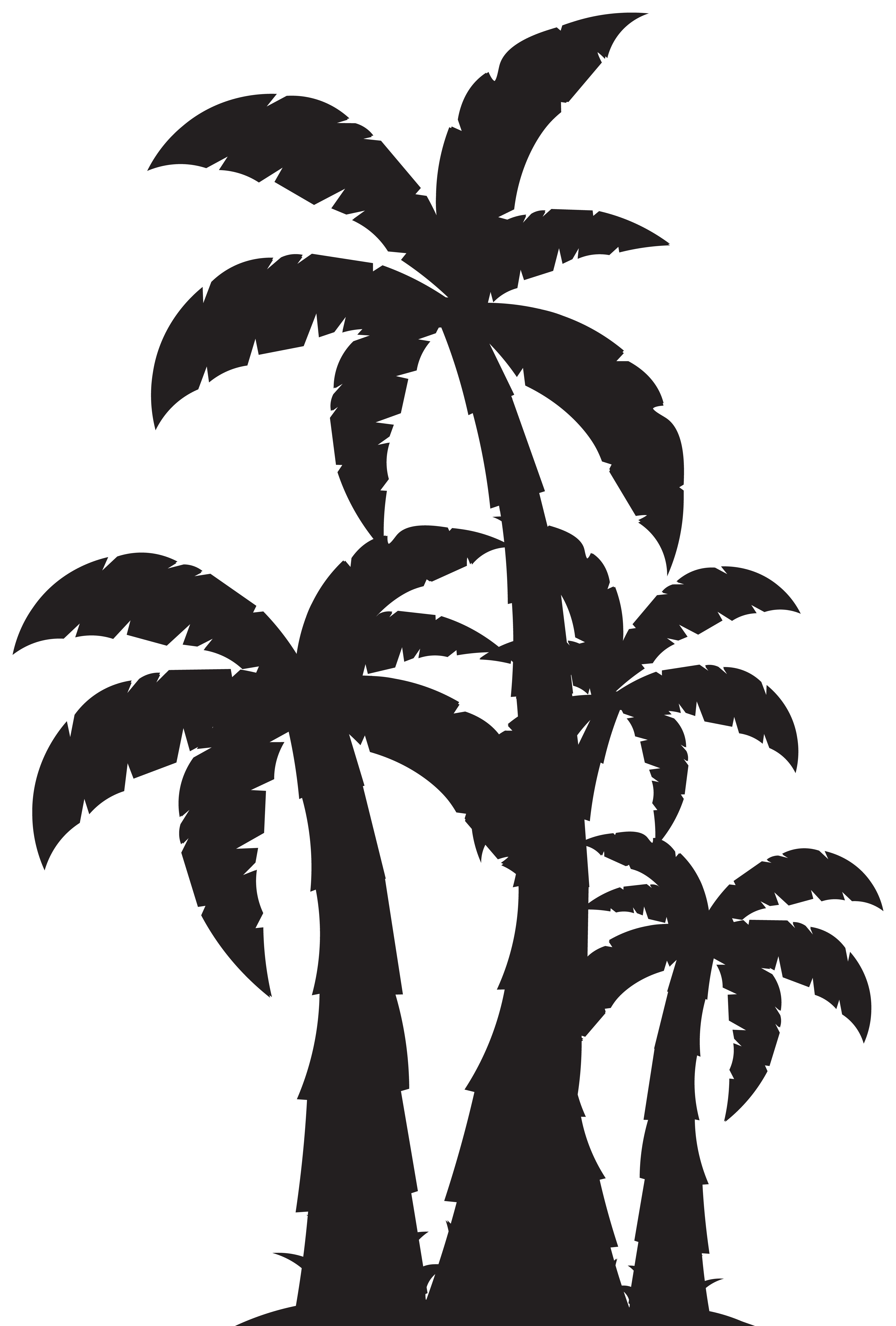 Outline clipart palm tree, Outline palm tree Transparent FREE for