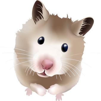 Free . Hamster clipart