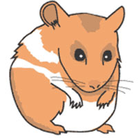 Pictures panda free images. Hamster clipart