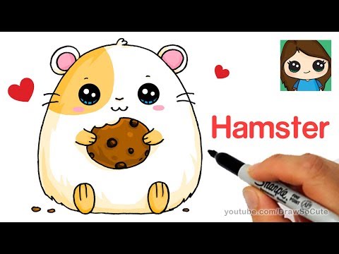 Hamster clipart adorable. How to draw a